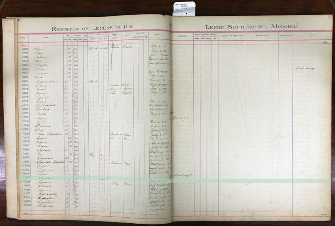 Register Image for #393 - Kaluakini