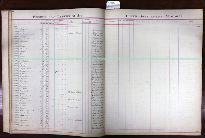 Register Image for #493 - Upai