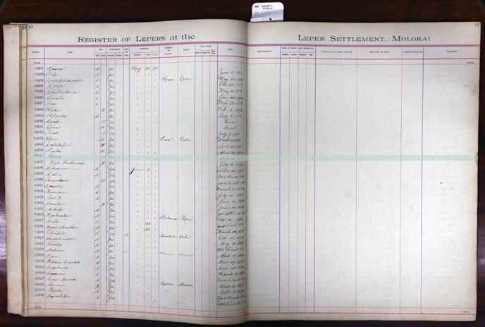 Register Image for #496 - Naalea