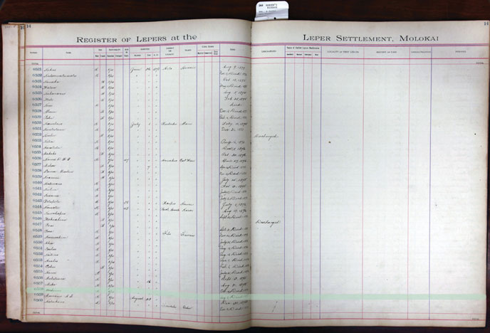 Register Image for #558 - Uahinui