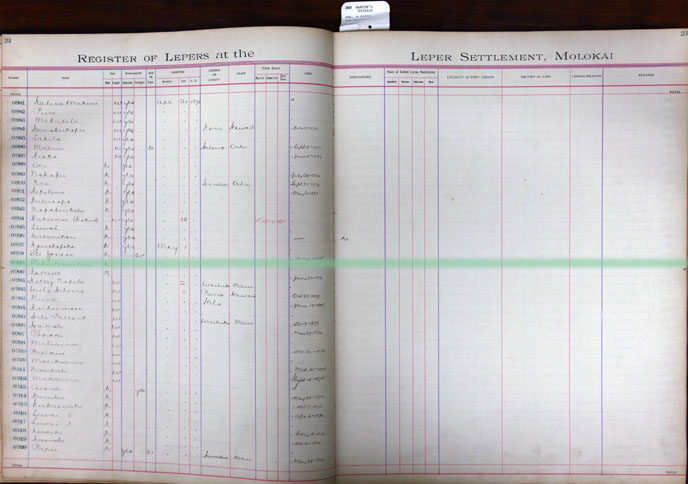 Register Image for #899 - Pahukanilua