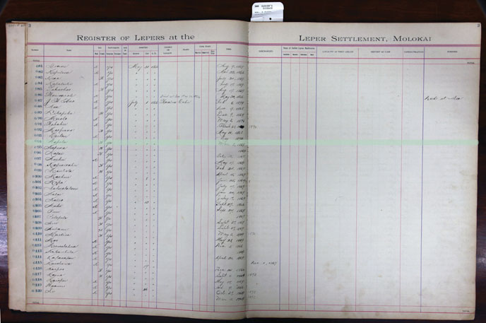 Register Image for #94 - Napela