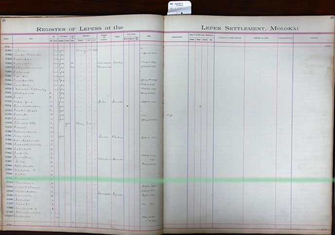 Register Image for #991 - Kahalekai