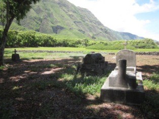 A grave marker in a field with other grave markers.