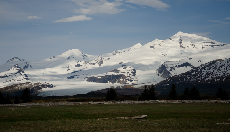Hallo Glacier overlooks an open meadow