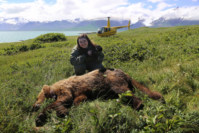 person poses next to tranquilized bear