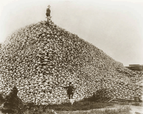 A man stands atop a mountain of skulls