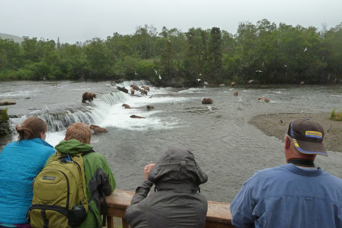 Bears and bear watchers at Brooks Falls