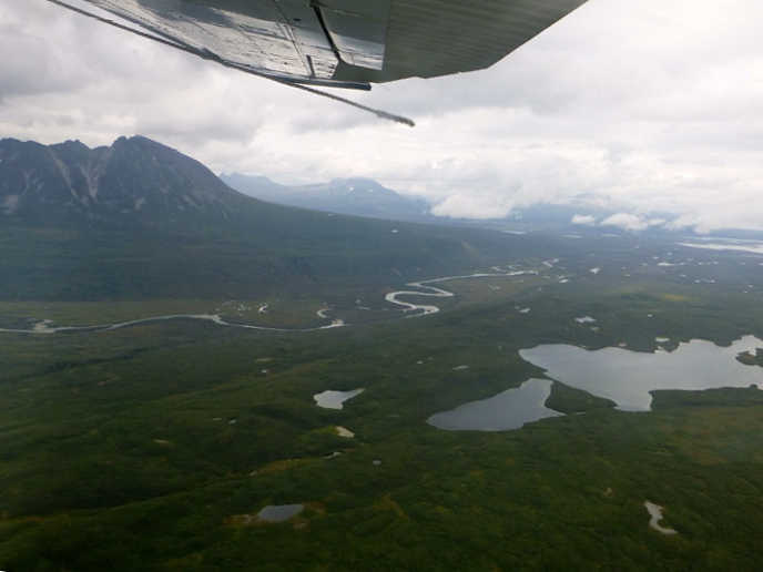 Kamishak River valley seen from the air