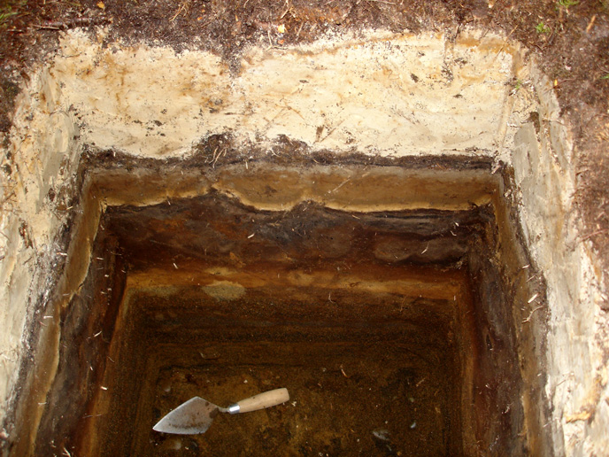 Ash and soil layers exposed during an archeological investigation