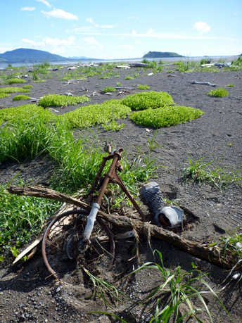 Old debris on the Hallo Bay Beach