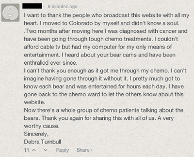 Comment from Explore.org (cancer victim)