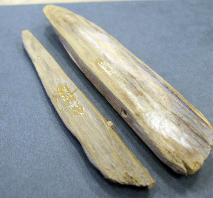 Two halves of a wooden sheath for a spear point