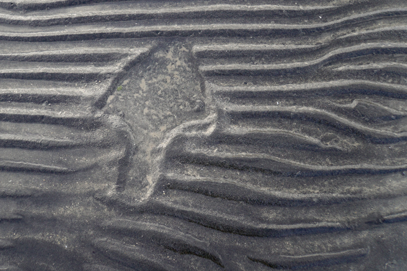 The imprint in the sand left by a flounder