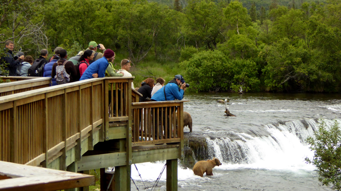people standing at wildlife viewing platform near waterfall