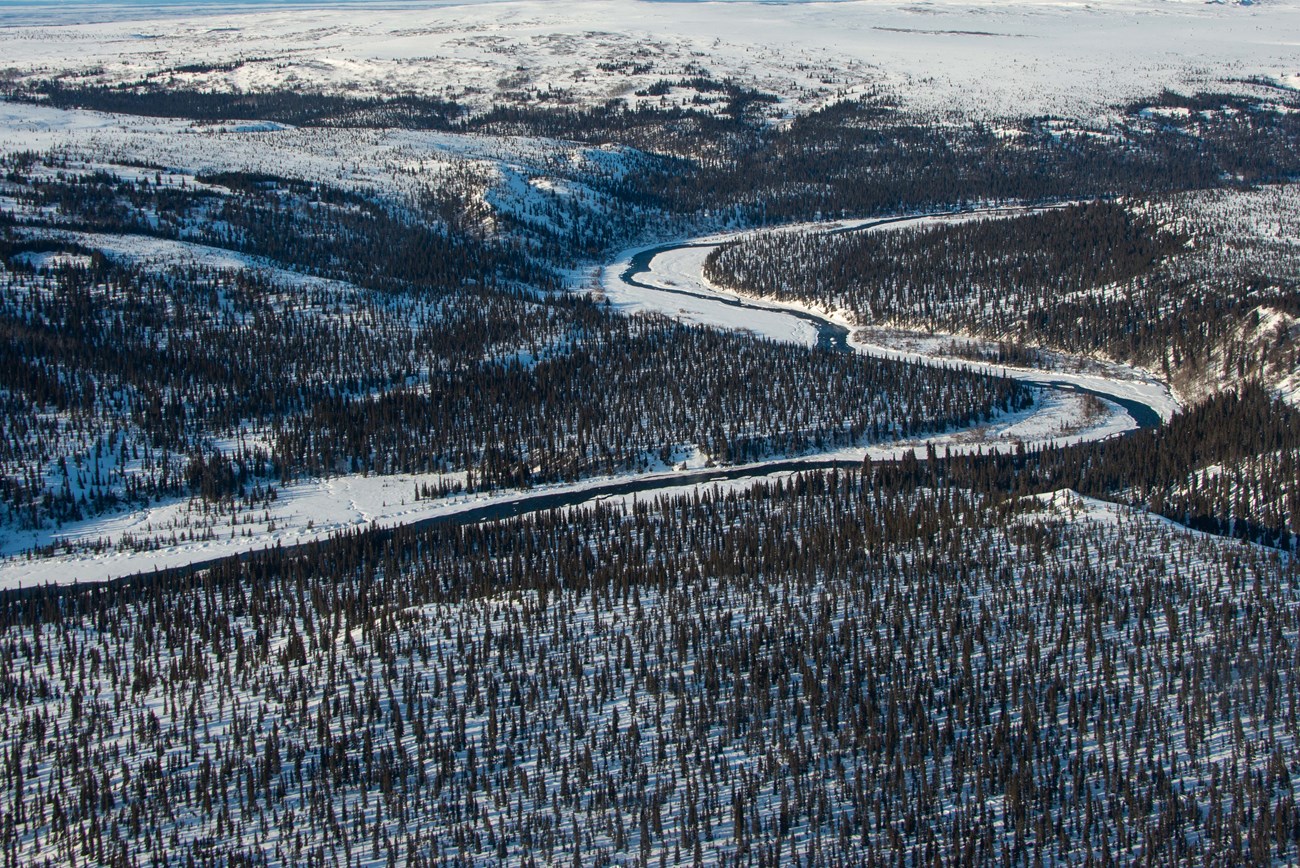 A winter landscape from above of a river and trees and snow