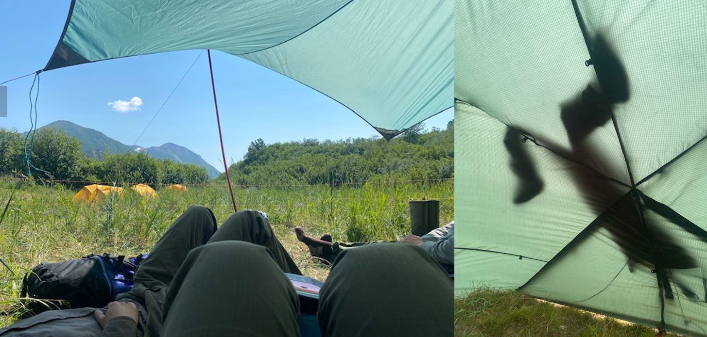 Two pictures, one looking out of tent, one of waders drying on the outside of a tent