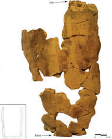 This vessel is unusual because it appears to have pigmenting.