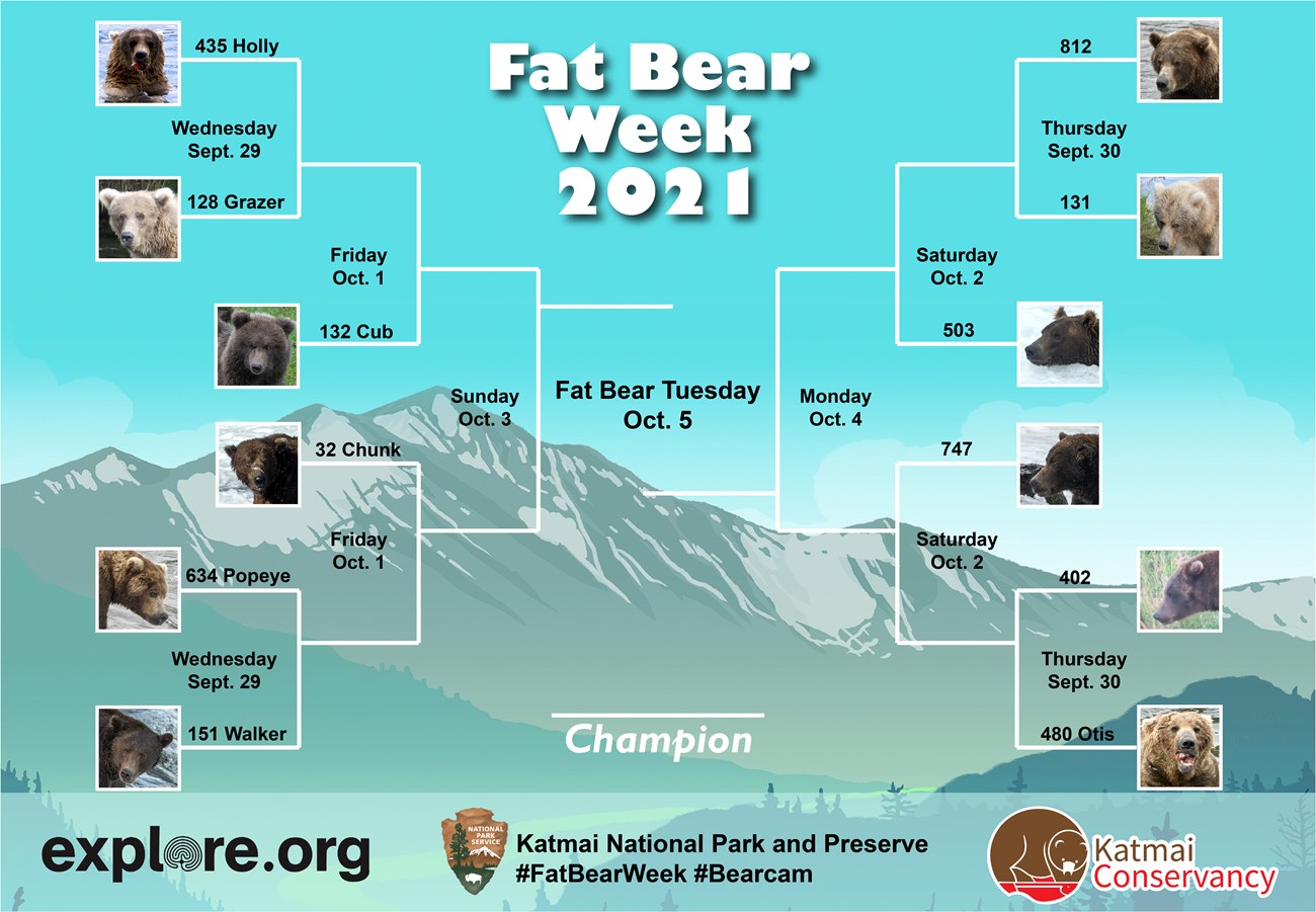 Fat Bear Week 2021 Bracket with 12 bear photos. Match 1: 435 vs. 128. Match 2: 151 vs. 634. Match 3: 812 vs. 131. Match 4: 480 vs. 402. Match 5: Winner of Match 1 vs. Winner of Fat Bear Junior. Match 6: Winner of Match 2 vs. 32. Match 7: Winner of Match 3