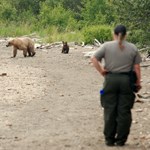 Ranger watches bear on beach