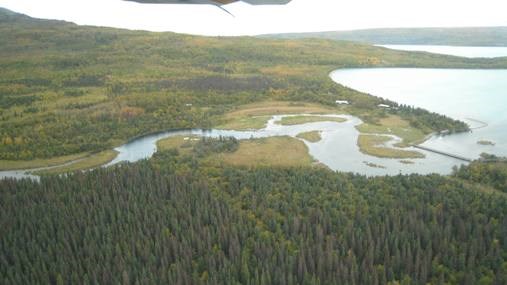 Brooks River as viewed from an airplane.