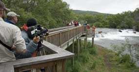 Commercial filming with large camera looking at the Brooks Falls Platform