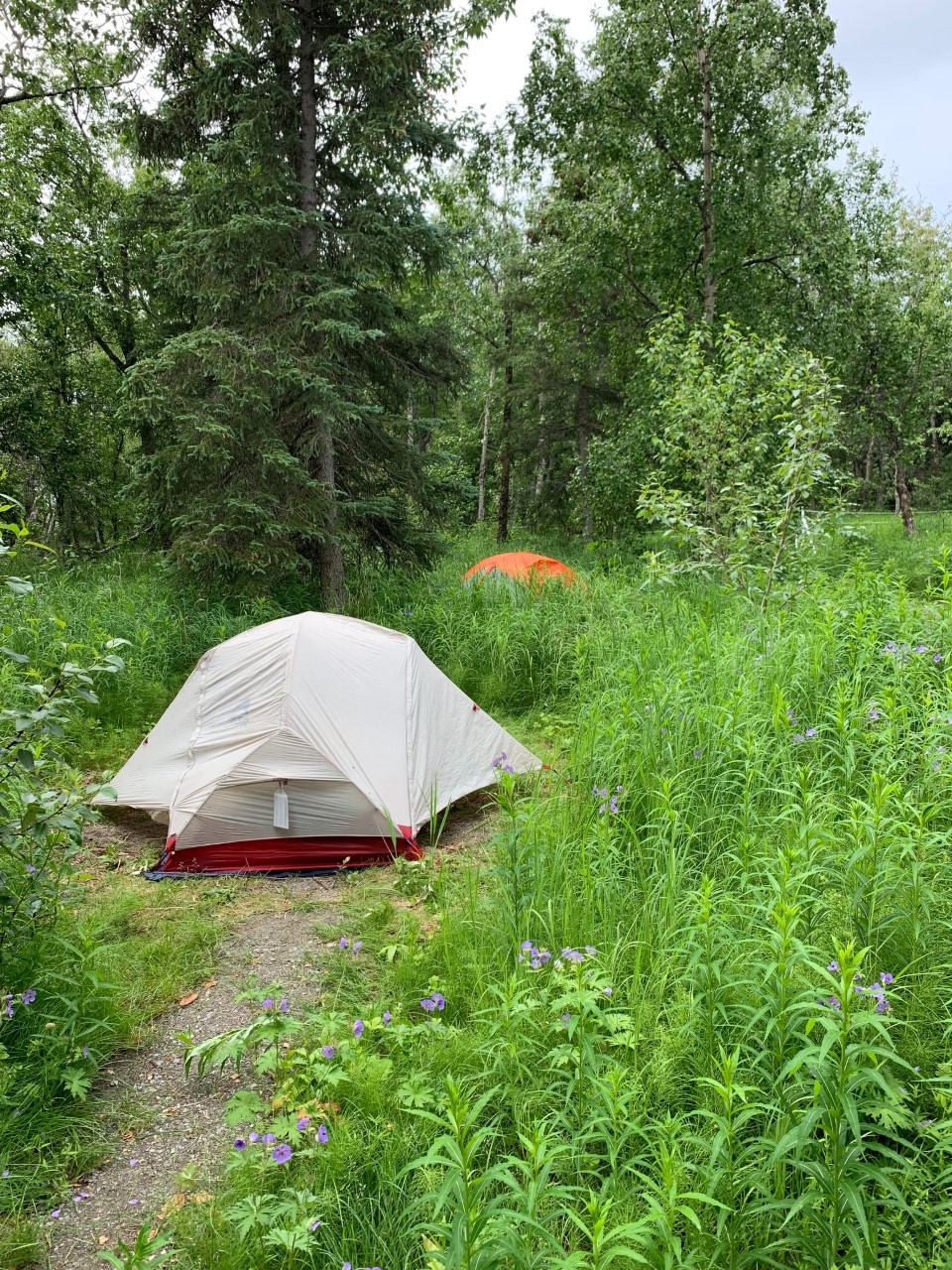 campground increasing to 100 2022 Katmai National Park & Preserve (U