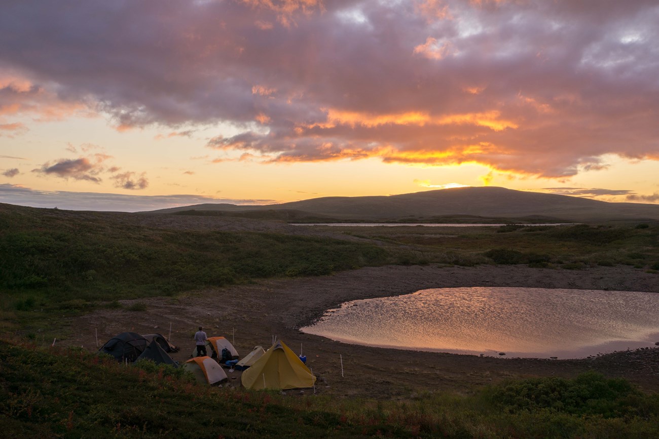 a back country camping set up with 6 multi colored tents and an electric fence at sunset