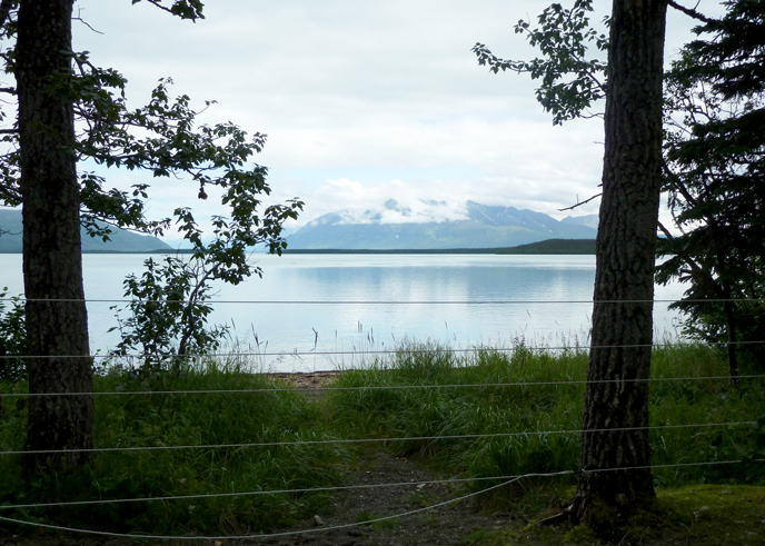 View of lake through trees and electric fence