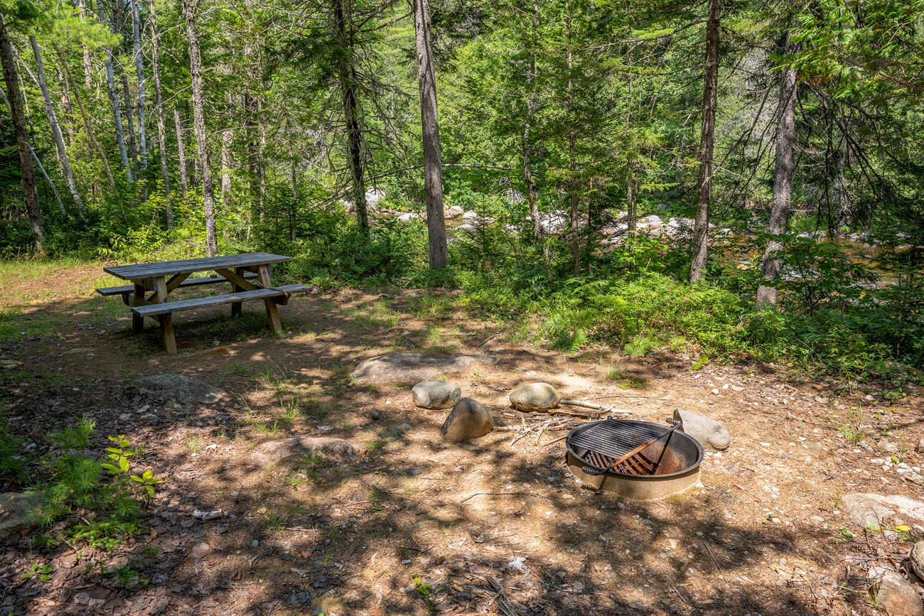 A shaded campsite with a metal firering next to a river in the woods.