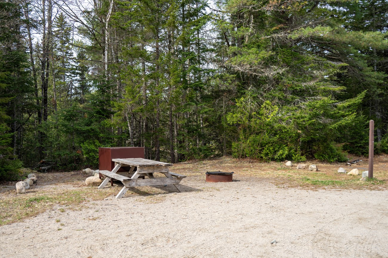 A dirt and gravel campsite with a wooden picnic table, brown metal food storage box, and a metal fire ring. The forest is behind the campsite.