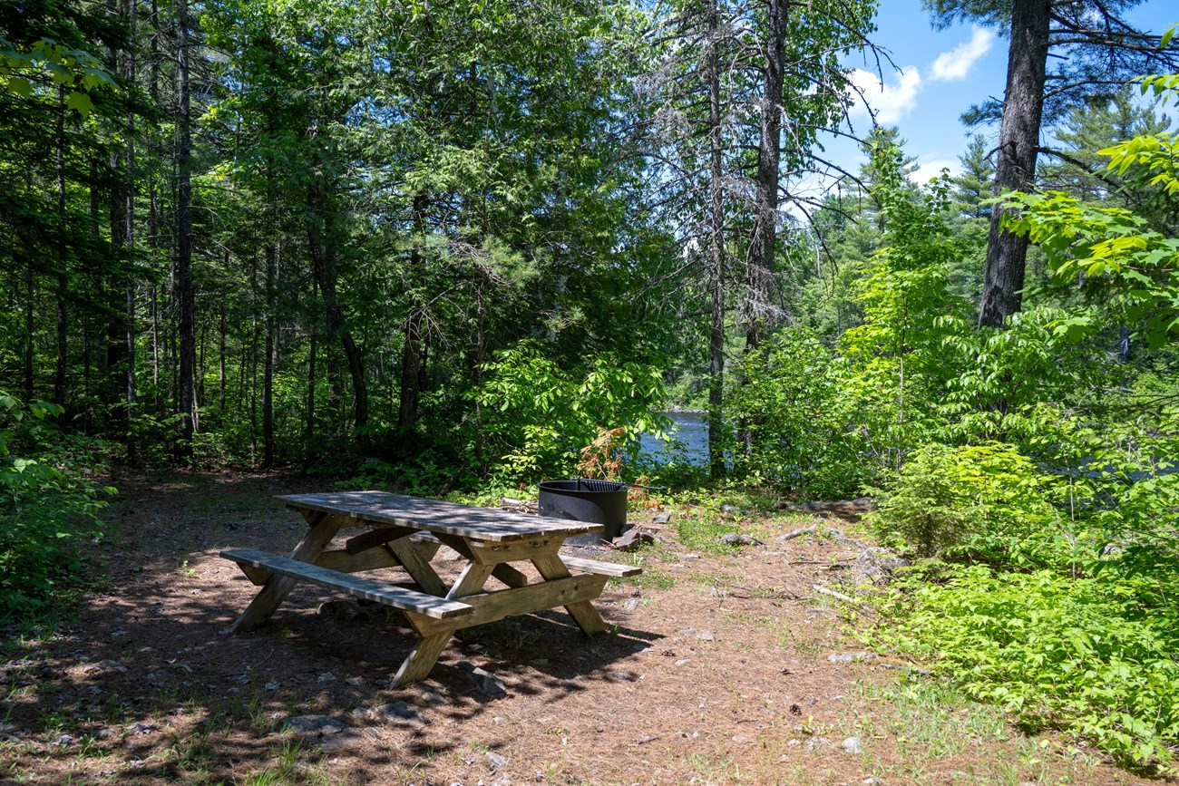 A primitive campsite next to a river in a mixed forest. A wooden picnic table and black metal firering are available for use.