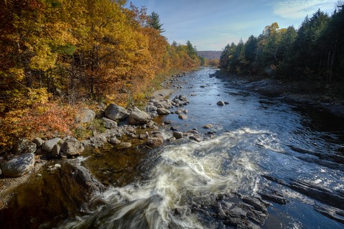 An overhead view of a stream with flowing white-water and small rocks. Trees, which are starting to turn yellow, line either side of the stream.