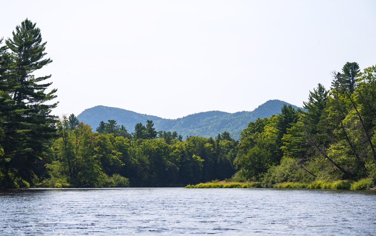 A landscape photo of Deasey Mountain and Lunksoos Mountain from the East Branch of the Penobscot River. The river is in the foreground, green forest in the middle, and mountains peaking out behind the trees.