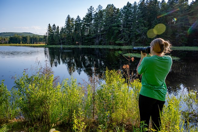 A photographer wearing a green shirt and long black pants takes wildlife photos at a wetland area.