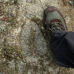 A moose track next to an adult woman's shoe.