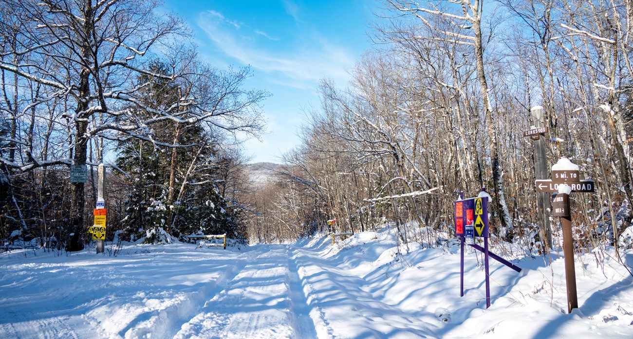 Snowmobile trails in the woods pass by a board of directional signs that indicate where the snowmobile trails go.