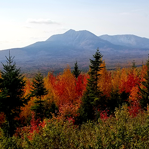 Katahdin in the fall, surrounded by colorful trees.