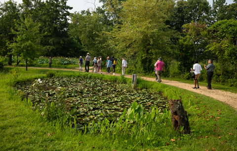 A group of over 15 people are walking along a trail near a pond