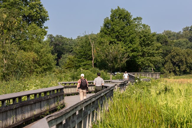Visitors walk on a wood boardwalk through a marsh.