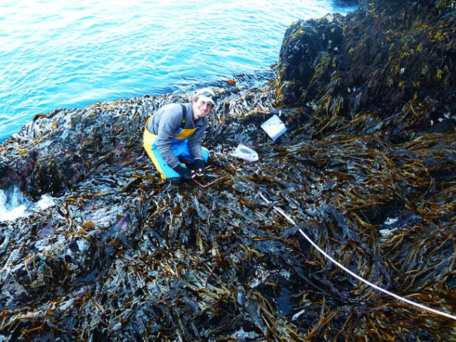 A park technician kneels on a beach covered in seaweed, and smiles up at the camera. A park technician kneels on a beach covered in seaweed, and smiles up at the camera.