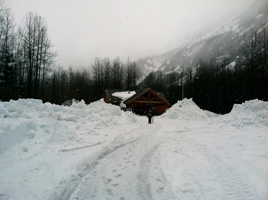 Snowy nature center in late May Snowy nature center in late May