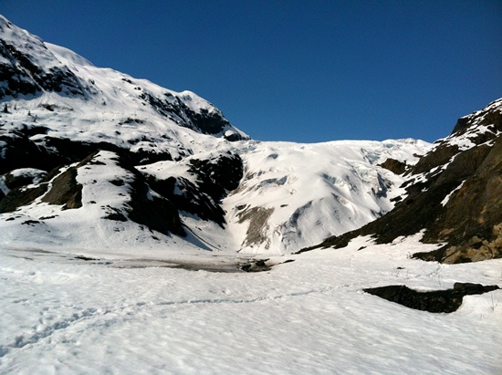 Toe of exit glacier in late May. Toe of exit glacier in late May.
