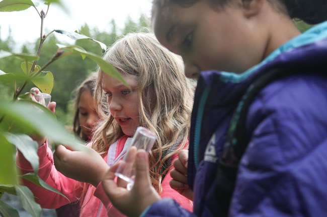 Three children looking at plants and into a small glass jar