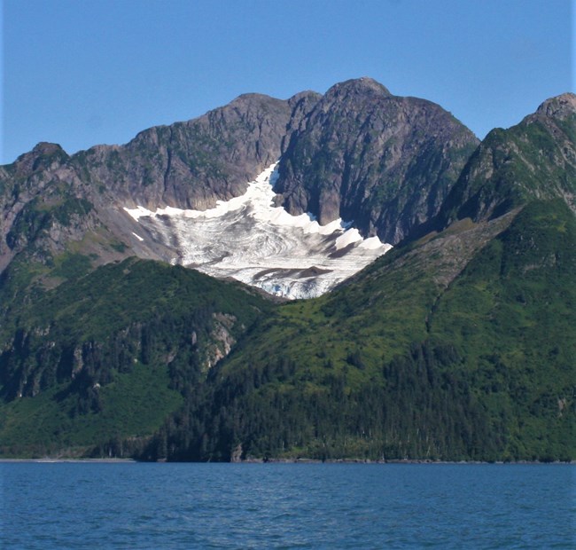A mountain with a white patch of ice in the middle of it's side.  Trees and plants are on the lower half of the mountain.  At the bottom of the mountain it ends by water.