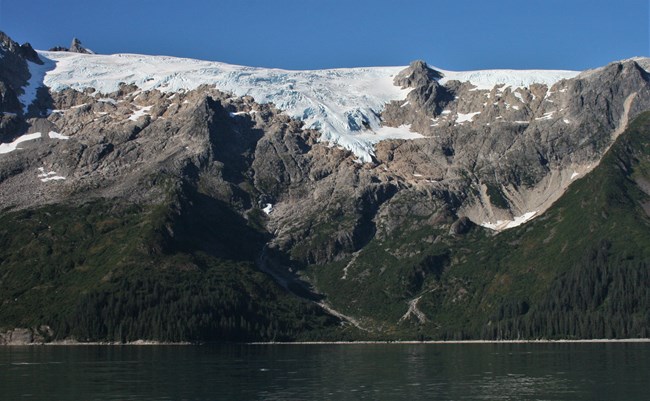 A mountain rises above a small beach and the ocean.  The bottom third of the mountain is trees and plants.  Above that the mountain is a gray rock.  Glacier ice flows over the top of the mountain and a third of the way down.