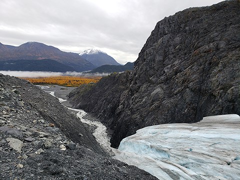 The edge of a glacier flowing between two mountains. At the bottom of the glacier a creek flows from right to left.  In the background is a forest with yellow leaves.