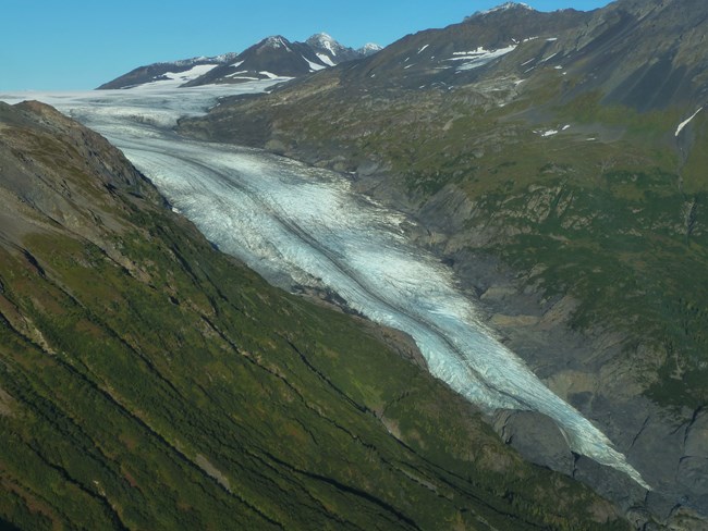 A white glacier flowing between two plant covered mountainsides. The glacier has a dark stripe down its center. The glacier narrows near the bottom right of the picture.