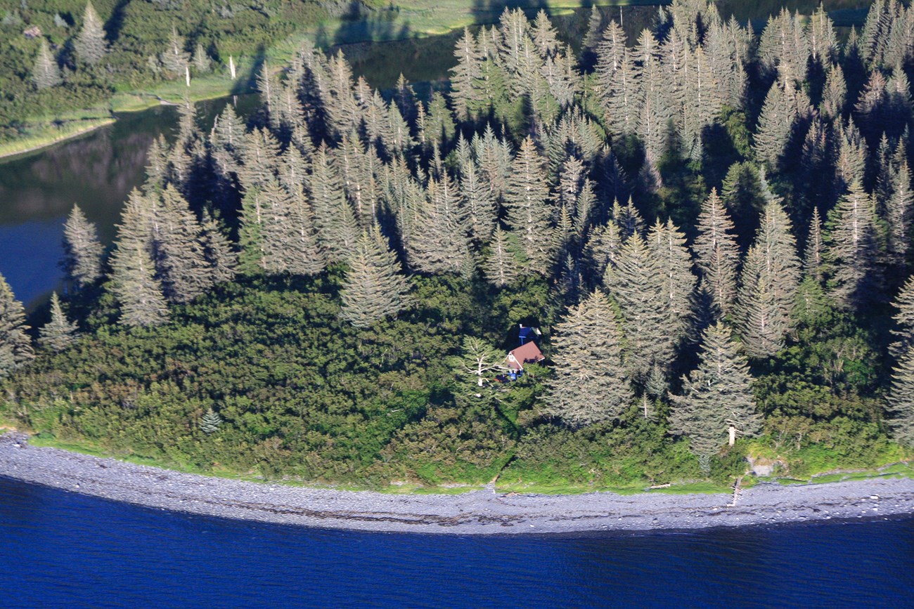 An aerial photo of a cabin in a forest next to the coast.