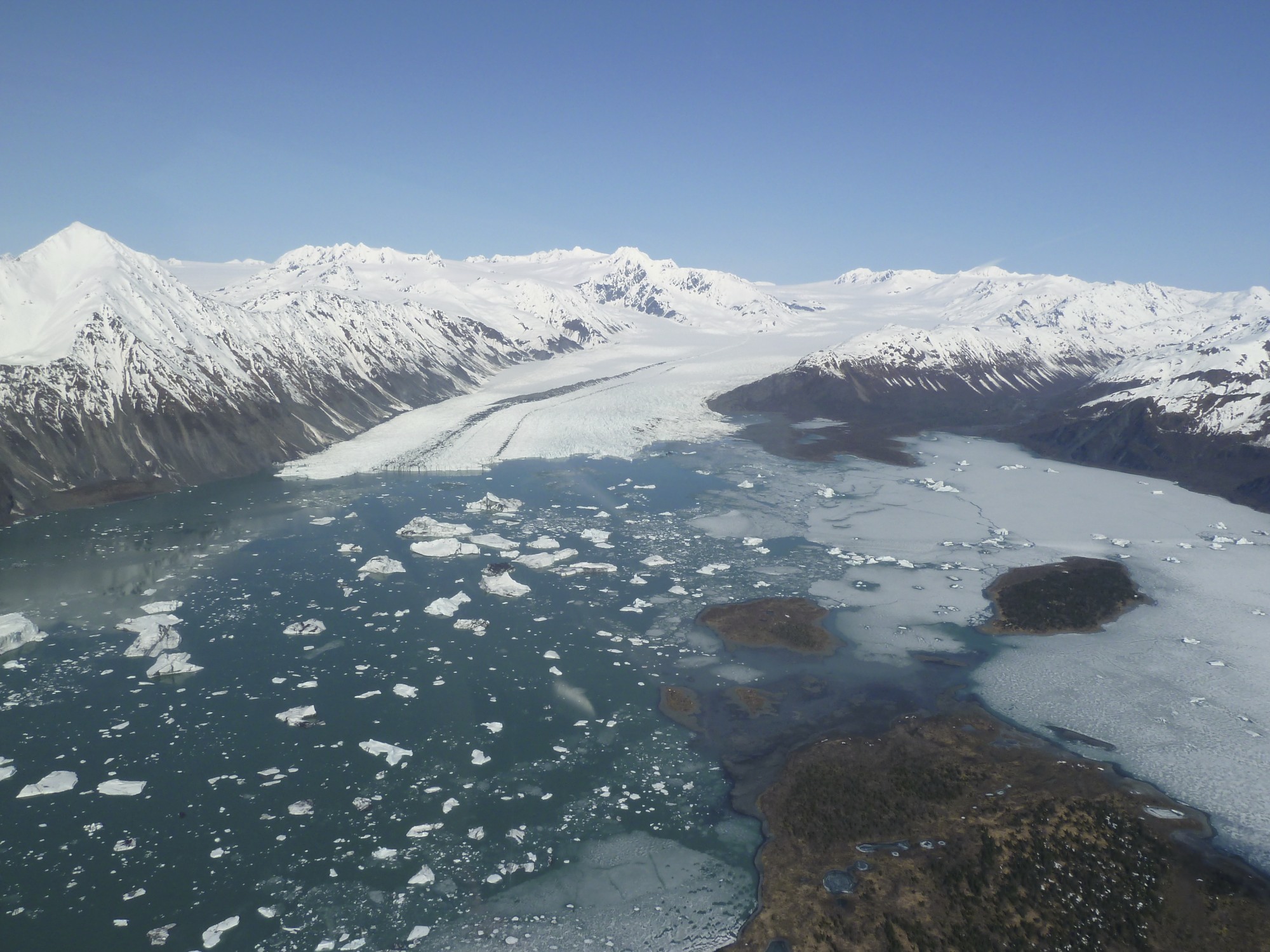 Glacial lagoon with icebergs and large glacier beyond